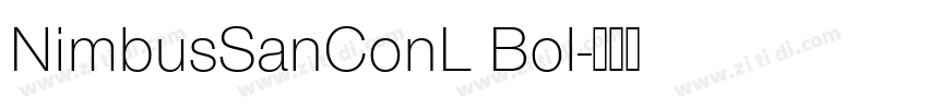 NimbusSanConL Bol字体转换